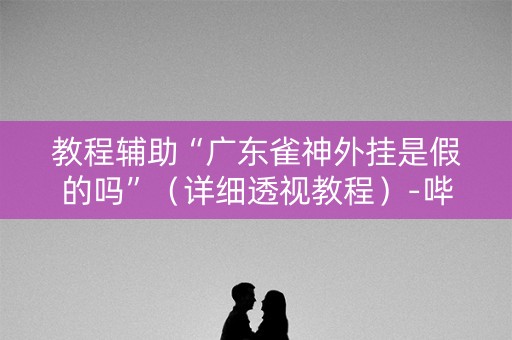 教程辅助“广东雀神外挂是假的吗”（详细透视教程）-哔哩哔哩