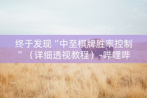 终于发现“中至棋牌胜率控制”（详细透视教程）-哔哩哔哩