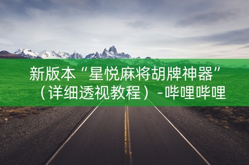 新版本“星悦麻将胡牌神器”（详细透视教程）-哔哩哔哩