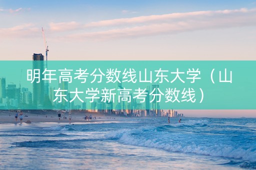 明年高考分数线山东大学（山东大学新高考分数线）