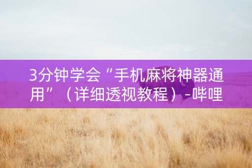 3分钟学会“手机麻将神器通用”（详细透视教程）-哔哩哔哩