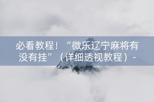 必看教程！“微乐辽宁麻将有没有挂”（详细透视教程）-哔哩哔哩