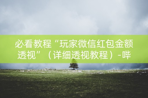 必看教程“玩家微信红包金额透视”（详细透视教程）-哔哩哔哩