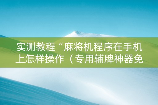 实测教程“麻将机程序在手机上怎样操作（专用辅牌神器免安装）