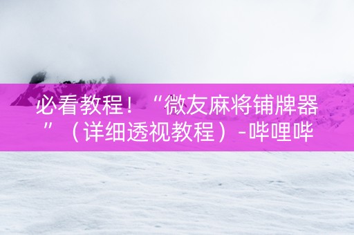 必看教程！“微友麻将铺牌器”（详细透视教程）-哔哩哔哩