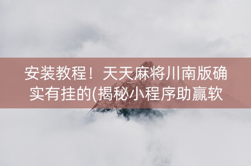安装教程！天天麻将川南版确实有挂的(揭秘小程序助赢软件)