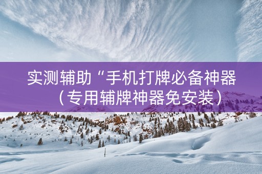 实测辅助“手机打牌必备神器（专用辅牌神器免安装）