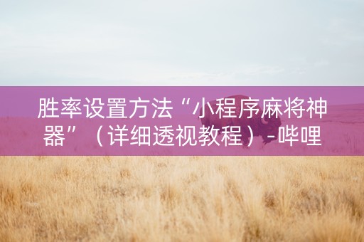 胜率设置方法“小程序麻将神器”（详细透视教程）-哔哩哔哩