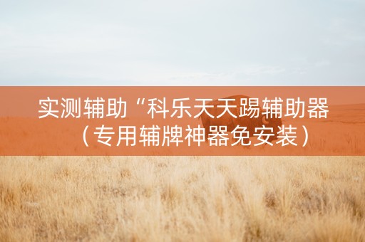 实测辅助“科乐天天踢辅助器（专用辅牌神器免安装）