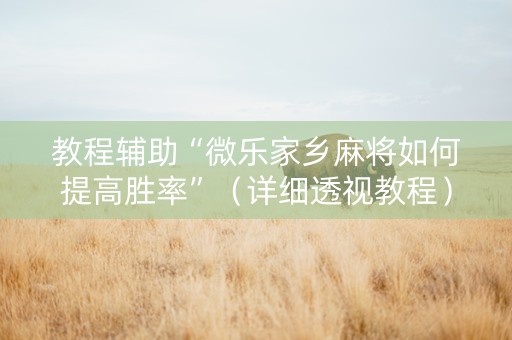 教程辅助“微乐家乡麻将如何提高胜率”（详细透视教程）-哔哩哔哩