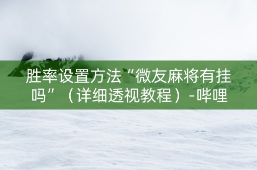 胜率设置方法“微友麻将有挂吗”（详细透视教程）-哔哩哔哩