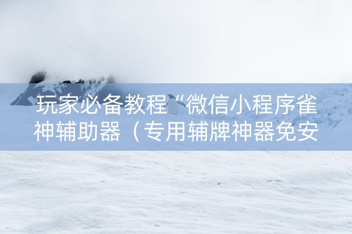玩家必备教程“微信小程序雀神辅助器（专用辅牌神器免安装）
