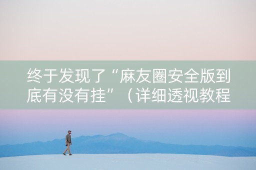 终于发现了“麻友圈安全版到底有没有挂”（详细透视教程）-哔哩哔哩