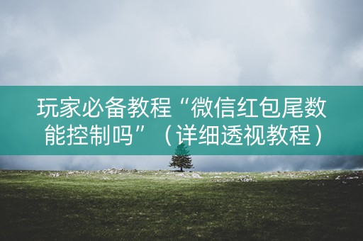 玩家必备教程“微信红包尾数能控制吗”（详细透视教程）-哔哩哔哩