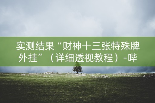 实测结果“财神十三张特殊牌外挂”（详细透视教程）-哔哩哔哩