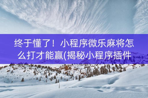 终于懂了！小程序微乐麻将怎么打才能赢(揭秘小程序插件购买)