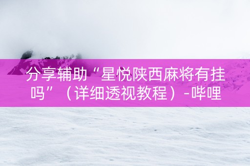 分享辅助“星悦陕西麻将有挂吗”（详细透视教程）-哔哩哔哩