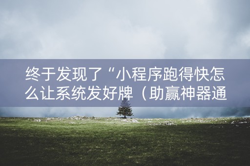 终于发现了“小程序跑得快怎么让系统发好牌（助赢神器通用版）