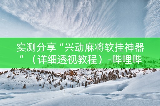 实测分享“兴动麻将软挂神器”（详细透视教程）-哔哩哔哩