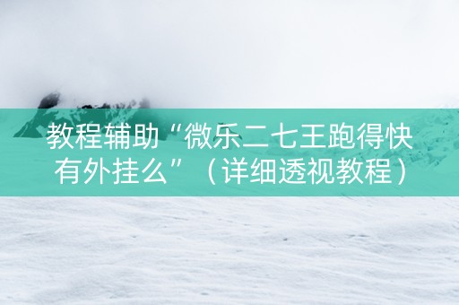 教程辅助“微乐二七王跑得快有外挂么”（详细透视教程）-哔哩哔哩