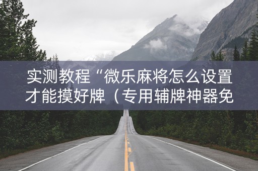 实测教程“微乐麻将怎么设置才能摸好牌（专用辅牌神器免安装）