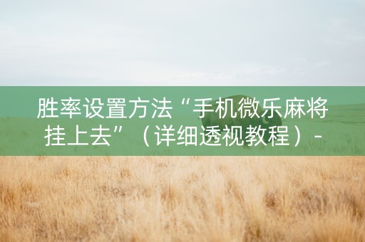 胜率设置方法“手机微乐麻将挂上去”（详细透视教程）-哔哩哔哩