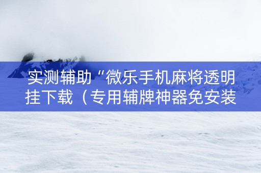 实测辅助“微乐手机麻将透明挂下载（专用辅牌神器免安装）