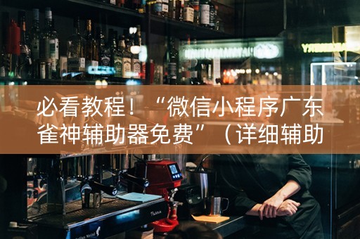 必看教程！“微信小程序广东雀神辅助器免费”（详细辅助教程）-哔哩哔哩