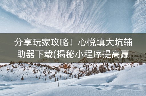分享玩家攻略！心悦填大坑辅助器下载(揭秘小程序提高赢的概率)
