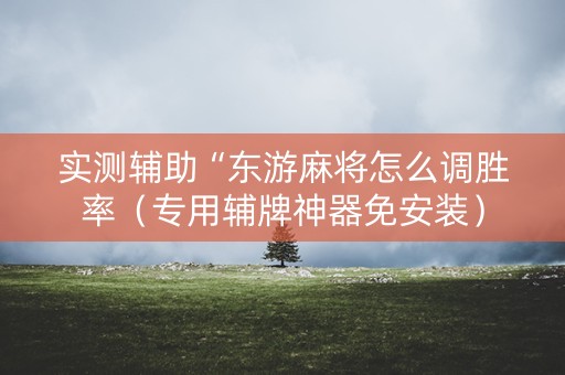 实测辅助“东游麻将怎么调胜率（专用辅牌神器免安装）