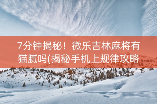 7分钟揭秘！微乐吉林麻将有猫腻吗(揭秘手机上规律攻略)