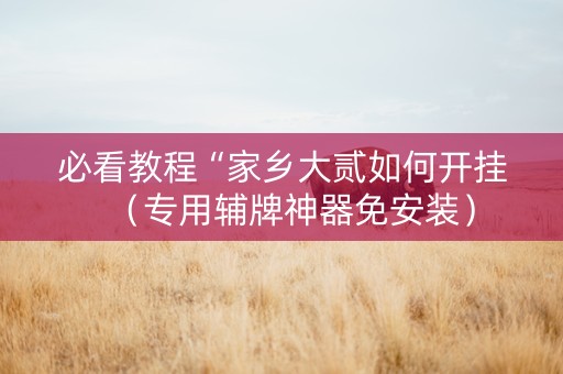 必看教程“家乡大贰如何开挂（专用辅牌神器免安装）