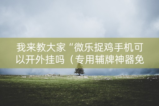 我来教大家“微乐捉鸡手机可以开外挂吗（专用辅牌神器免安装）