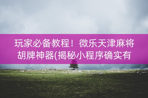 玩家必备教程！微乐天津麻将胡牌神器(揭秘小程序确实有猫腻)
