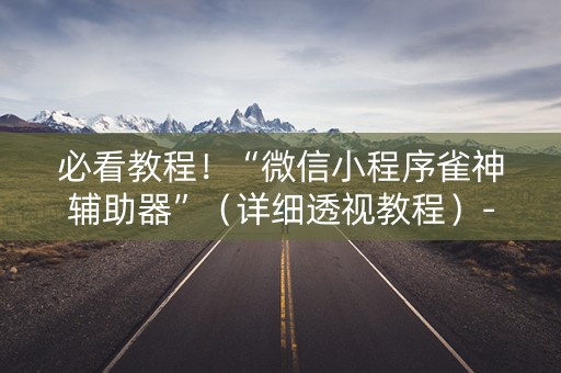 必看教程！“微信小程序雀神辅助器”（详细透视教程）-哔哩哔哩