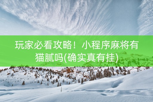 玩家必看攻略！小程序麻将有猫腻吗(确实真有挂)