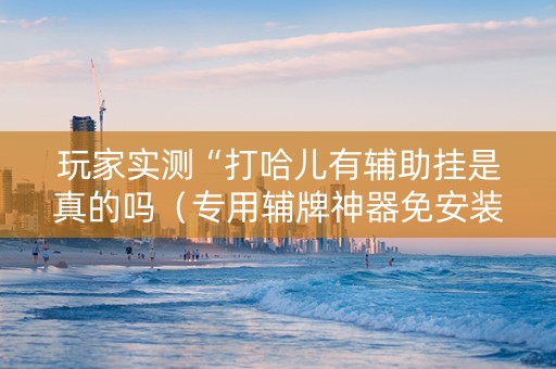玩家实测“打哈儿有辅助挂是真的吗（专用辅牌神器免安装）
