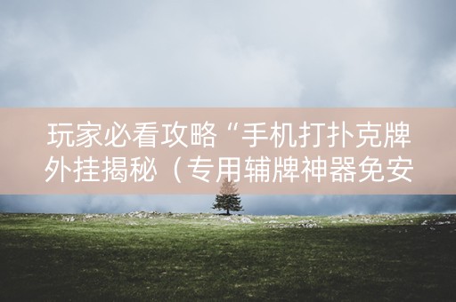 玩家必看攻略“手机打扑克牌外挂揭秘（专用辅牌神器免安装）