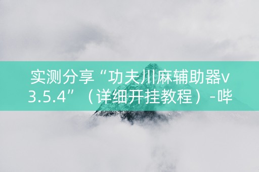 实测分享“功夫川麻辅助器v3.5.4”（详细开挂教程）-哔哩哔哩