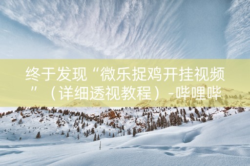 终于发现“微乐捉鸡开挂视频”（详细透视教程）-哔哩哔哩