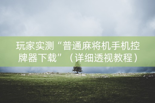 玩家实测“普通麻将机手机控牌器下载”（详细透视教程）-哔哩哔哩