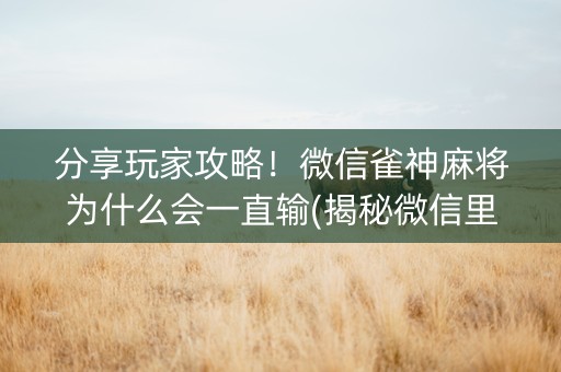 分享玩家攻略！微信雀神麻将为什么会一直输(揭秘微信里必备神器)