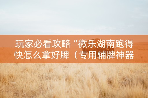 玩家必看攻略“微乐湖南跑得快怎么拿好牌（专用辅牌神器免安装）