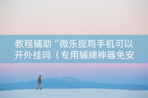 教程辅助“微乐捉鸡手机可以开外挂吗（专用辅牌神器免安装）