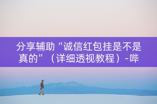 分享辅助“诚信红包挂是不是真的”（详细透视教程）-哔哩哔哩