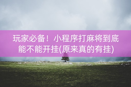 玩家必备！小程序打麻将到底能不能开挂(原来真的有挂)