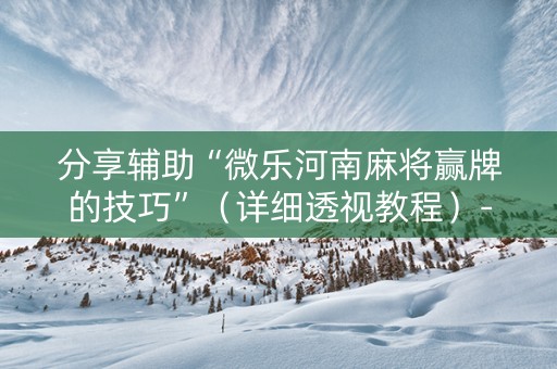 分享辅助“微乐河南麻将赢牌的技巧”（详细透视教程）-哔哩哔哩