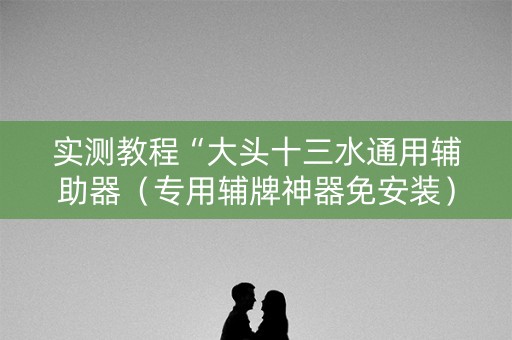 实测教程“大头十三水通用辅助器（专用辅牌神器免安装）