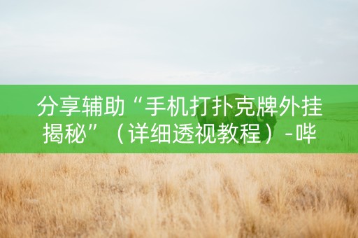 分享辅助“手机打扑克牌外挂揭秘”（详细透视教程）-哔哩哔哩