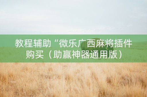 教程辅助“微乐广西麻将插件购买（助赢神器通用版）